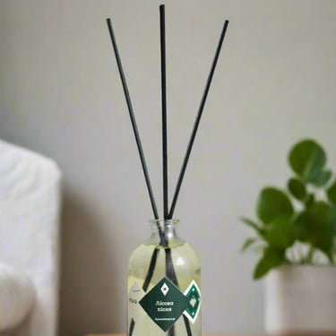 Aroma diffuser "Forest Song", 100 ml